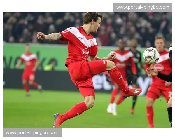 激情碰撞！葡萄牙vs阿尔巴：一场不容错过的绿茵盛宴